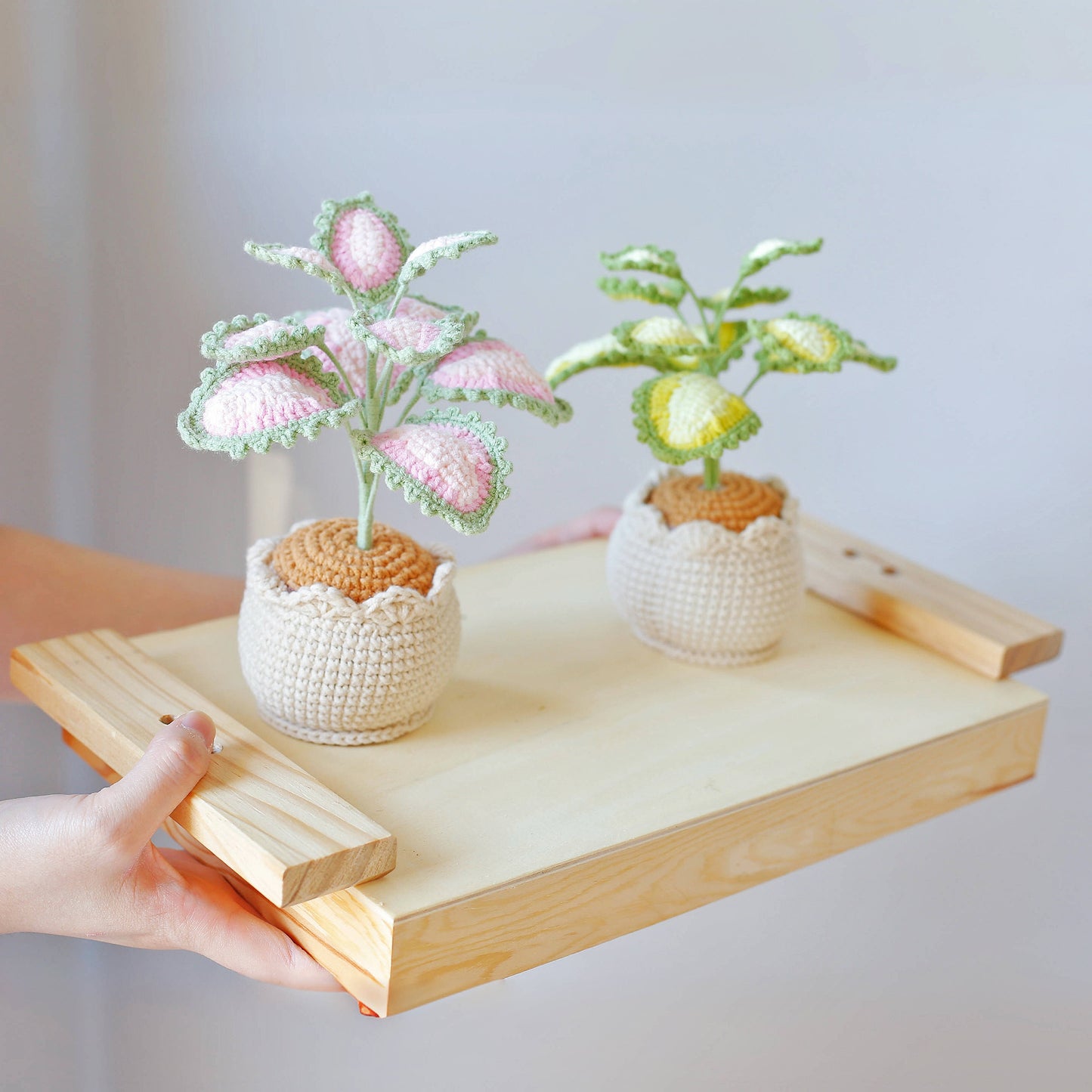 Crochet Caladium Potted