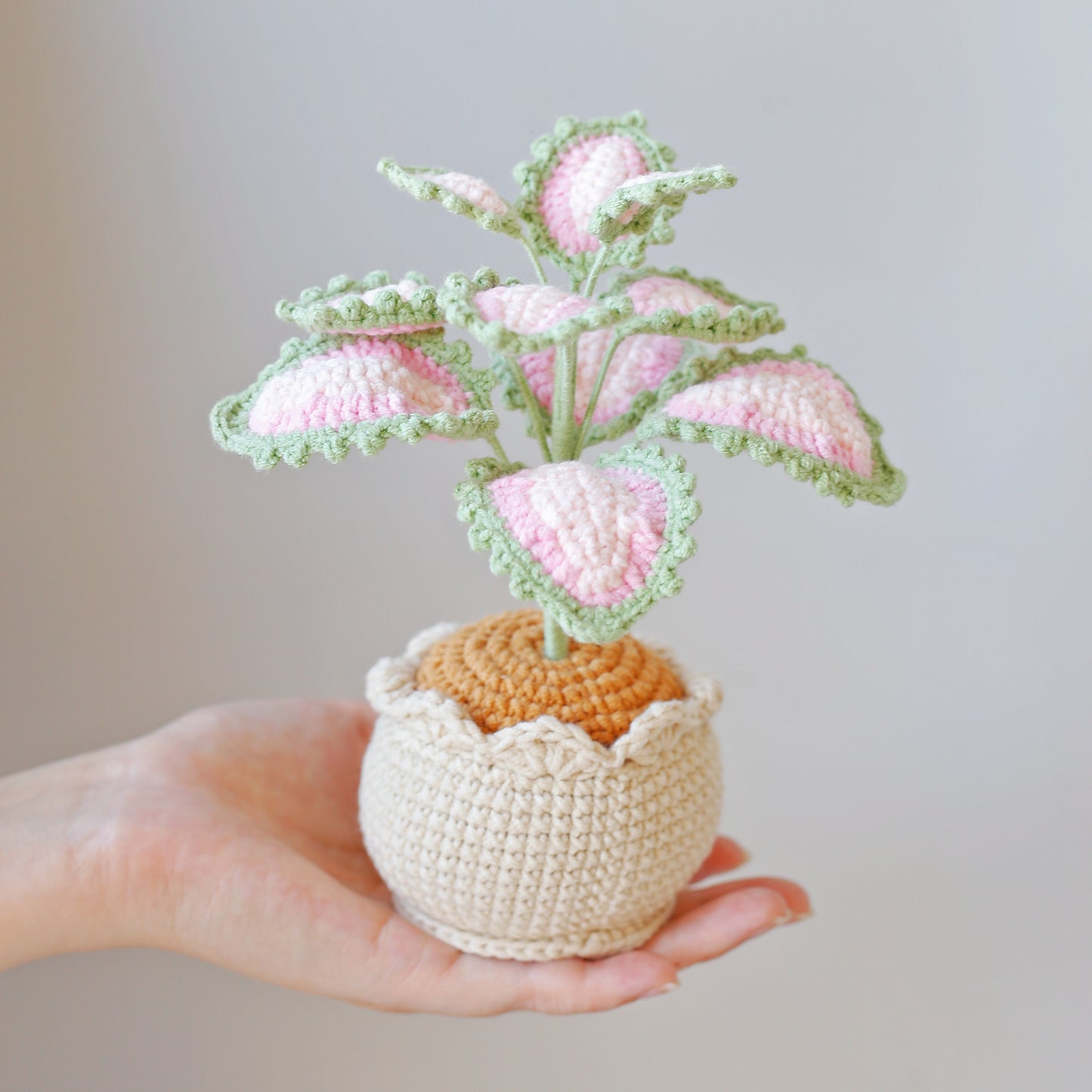 Crochet Caladium Potted