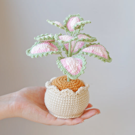 Crochet Caladium Potted