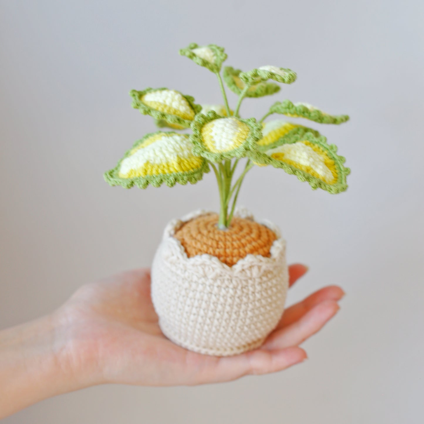 Crochet Caladium Potted