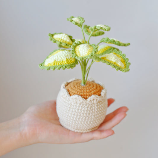 Crochet Caladium Potted